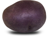 Purple Majesty Potato