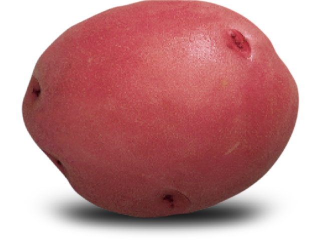 Red Potato