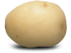 White Harmony Potato
