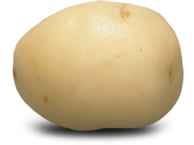 White Potato