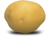 Yellow Satina Potato