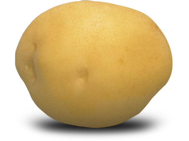Yellow Potato